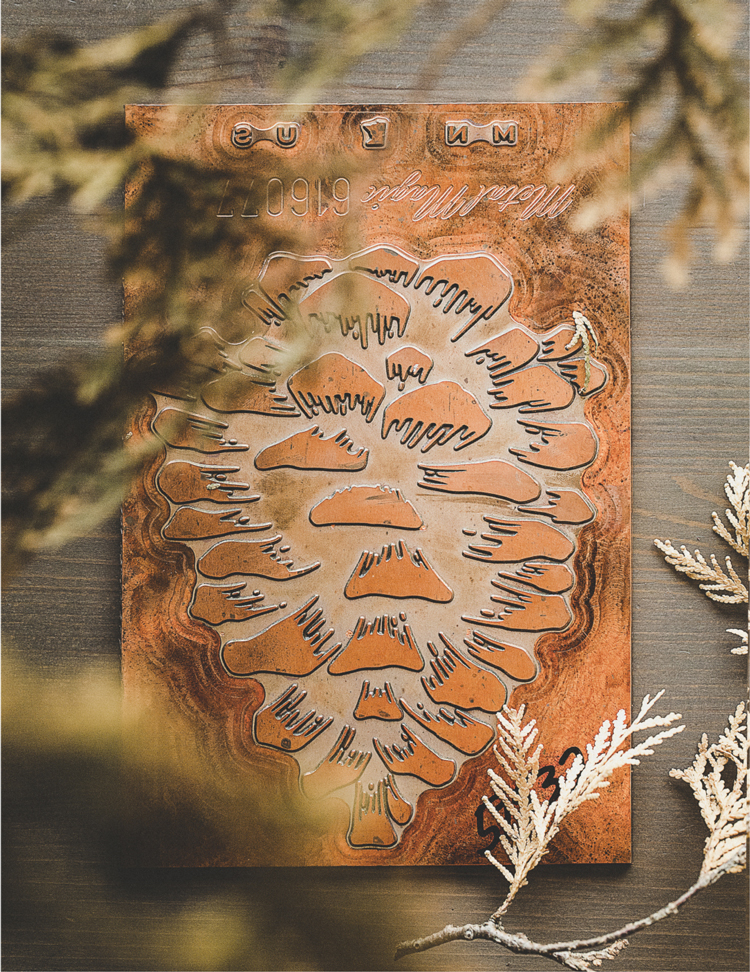 National Pine Poster